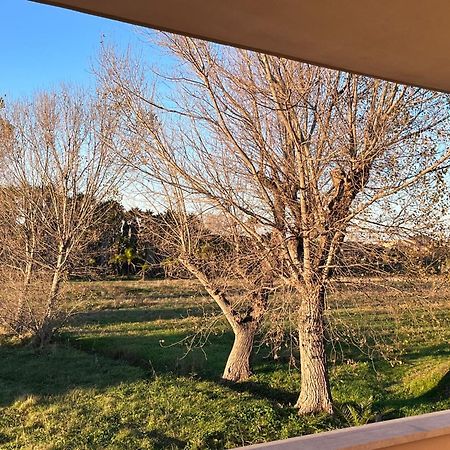 Lizzies Hus Apartman Fiumicino Kültér fotó
